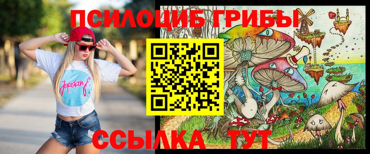 Бийск  Галлюциногенные грибы мицелий  Псилоцибиновые грибы Cubensis  Вход с VPN 