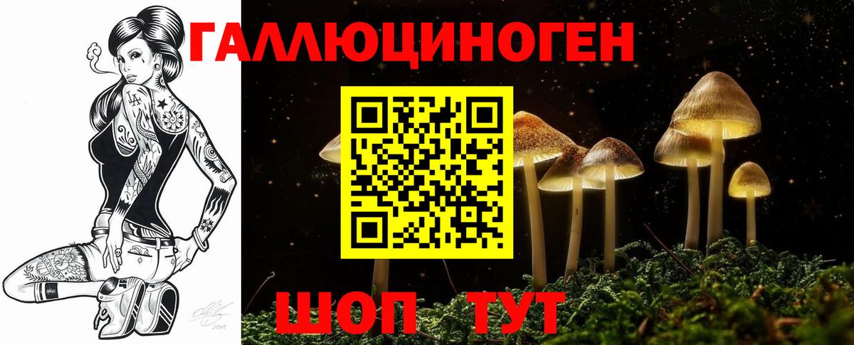 Галлюциногенные грибы мицелий Бийск